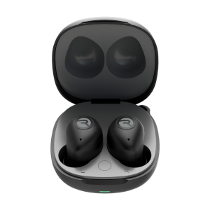 The Fitness Earbuds